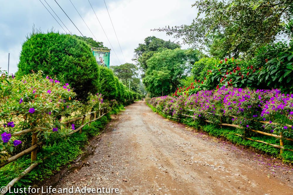 Ruta de las Flores